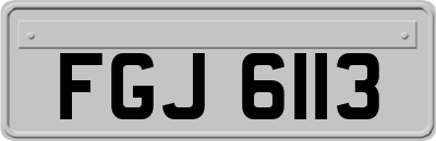 FGJ6113