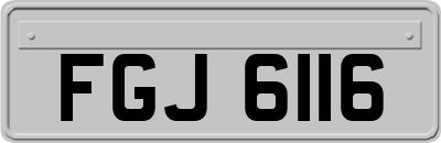 FGJ6116