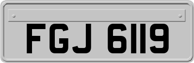 FGJ6119