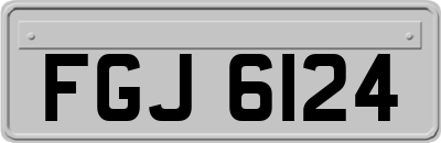FGJ6124