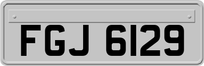FGJ6129