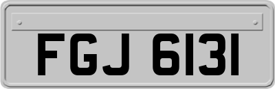 FGJ6131