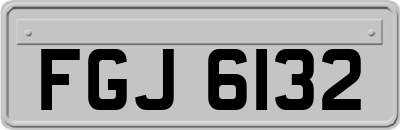 FGJ6132