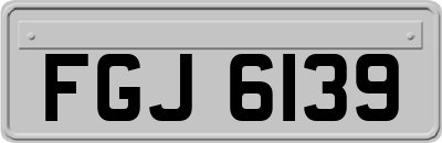 FGJ6139