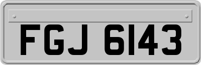 FGJ6143