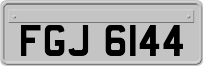 FGJ6144