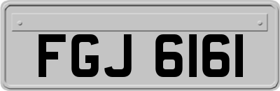 FGJ6161