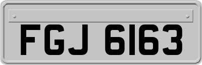 FGJ6163