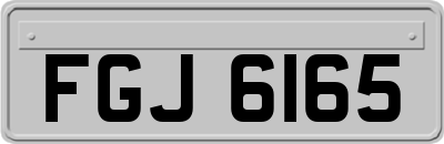 FGJ6165