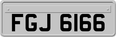 FGJ6166