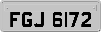 FGJ6172