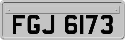 FGJ6173