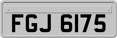 FGJ6175