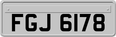FGJ6178