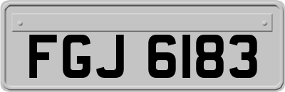 FGJ6183
