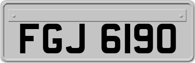 FGJ6190