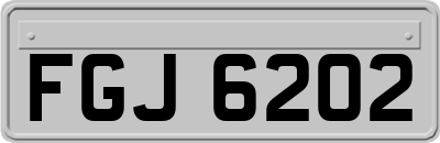FGJ6202