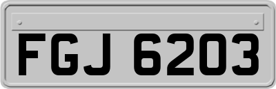 FGJ6203