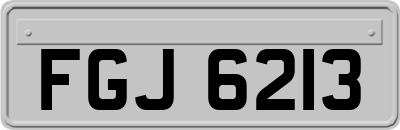 FGJ6213
