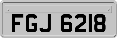 FGJ6218