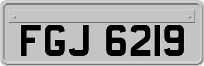 FGJ6219