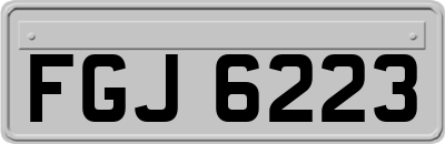 FGJ6223