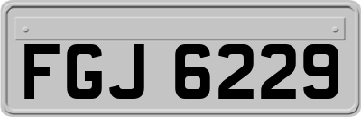 FGJ6229