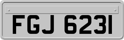 FGJ6231
