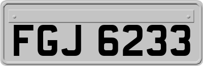 FGJ6233