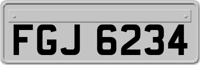FGJ6234