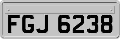 FGJ6238