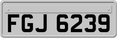 FGJ6239