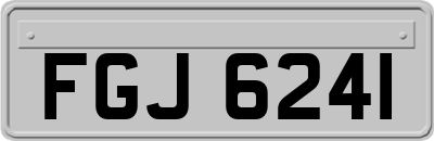 FGJ6241