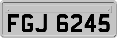 FGJ6245