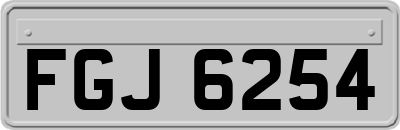 FGJ6254