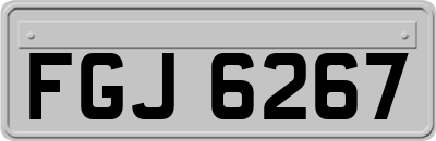 FGJ6267
