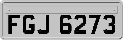 FGJ6273