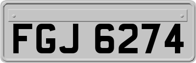 FGJ6274