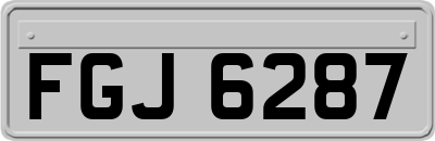 FGJ6287