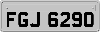 FGJ6290