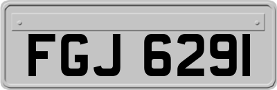 FGJ6291