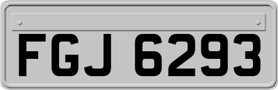 FGJ6293