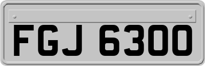 FGJ6300