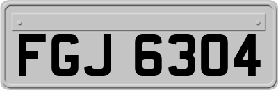 FGJ6304