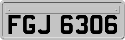 FGJ6306