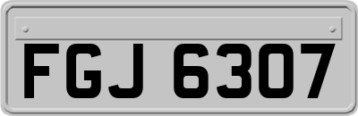 FGJ6307