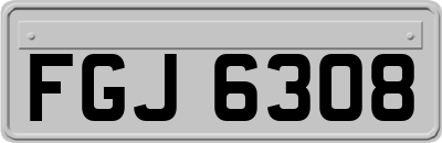 FGJ6308