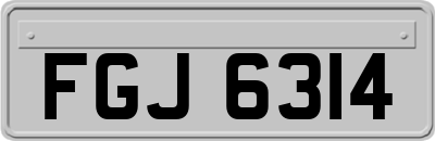 FGJ6314