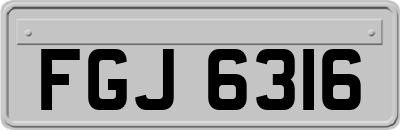 FGJ6316