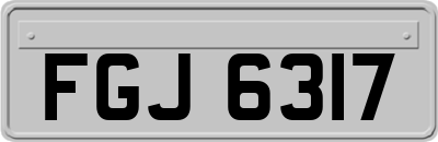 FGJ6317